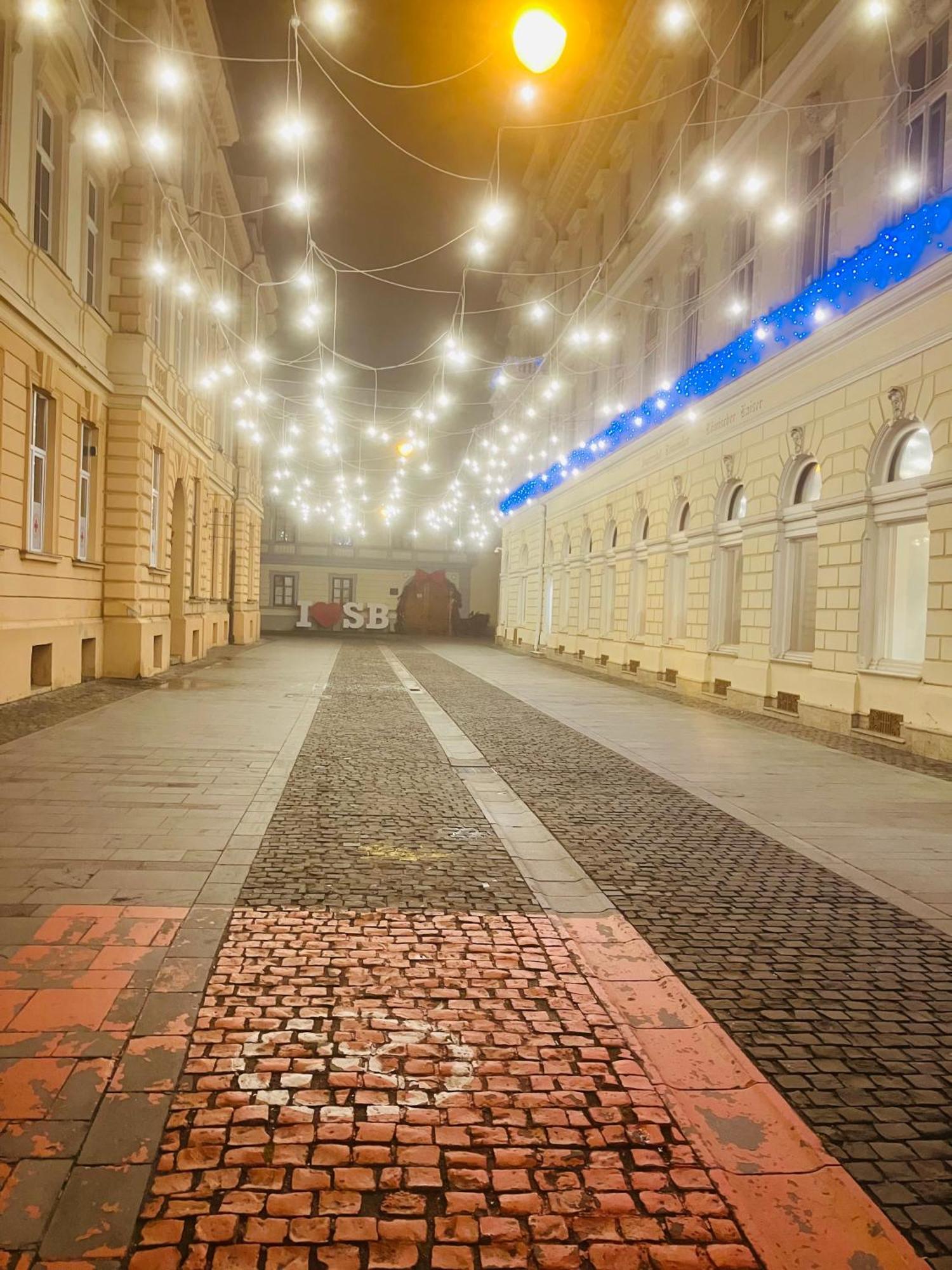 Casa Young&Jung Сибиу Екстериор снимка
